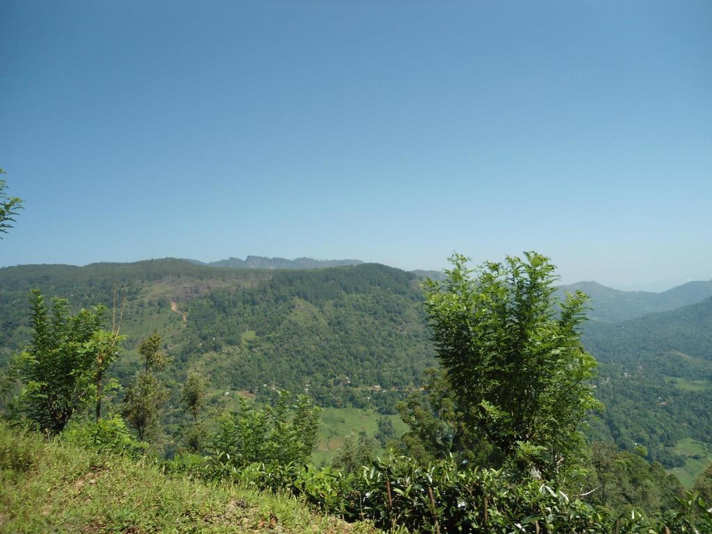Mount River View Kandy Exterior photo